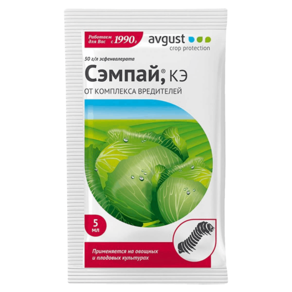 Сэмпай
