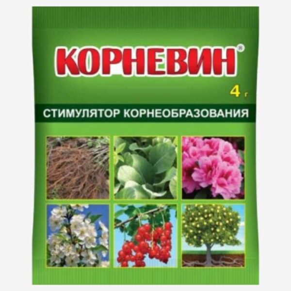 Корневин
