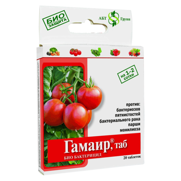 Гамаир