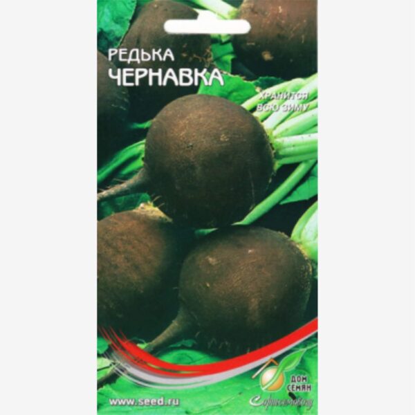 Редька Чернавка