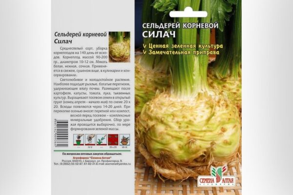 Сельдерей корневой Силач