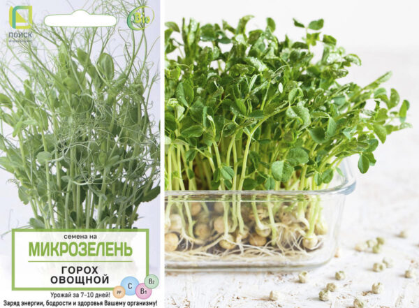 Микрозелень Горох  овощной