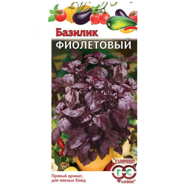 Базилик Фиолетовый