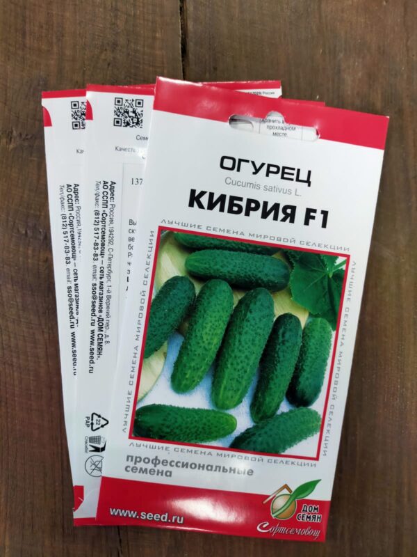 Огурец Кибрия F1