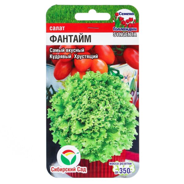 Салат Фантайм
