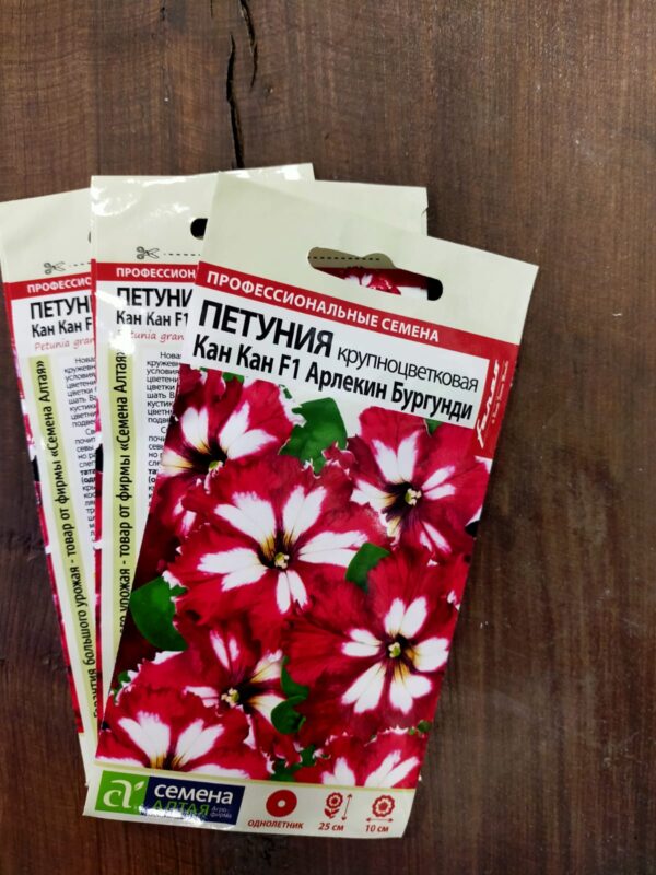 Петуния Кан Кан Арлекин Бургундии