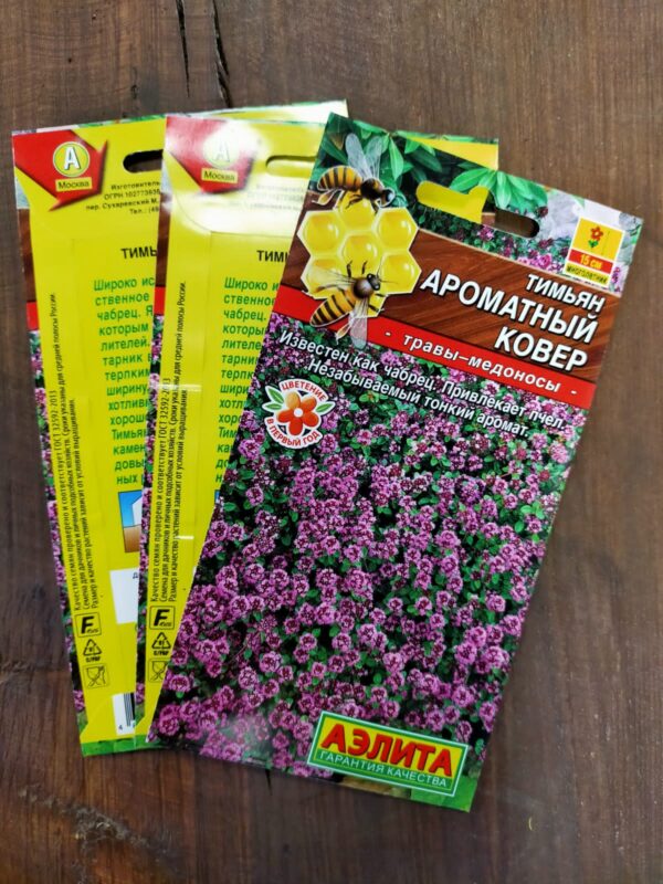 Тимьян Ароматный Ковер