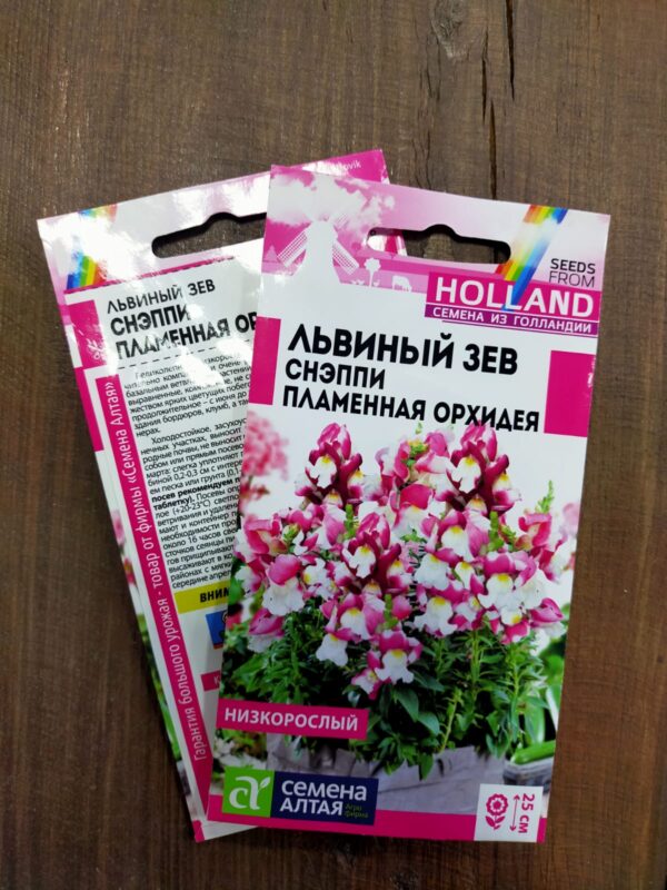 Львиный Зев Снэппи Пламенная Орхидея