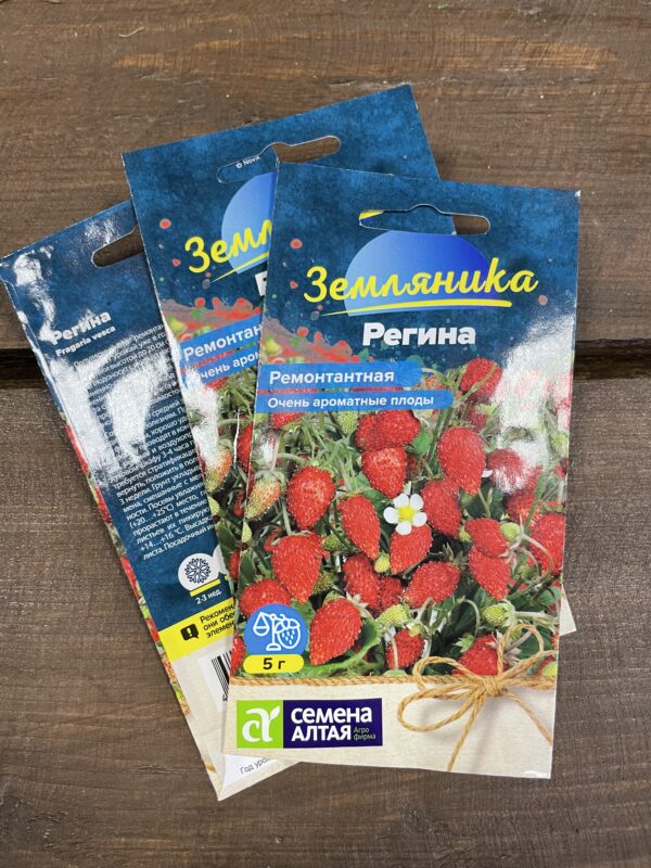 Ягода Земляника Регина рем.