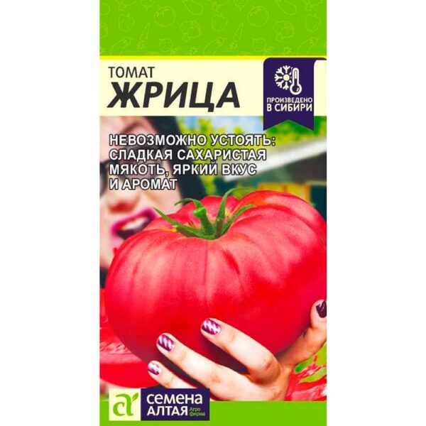 Томат Жрица