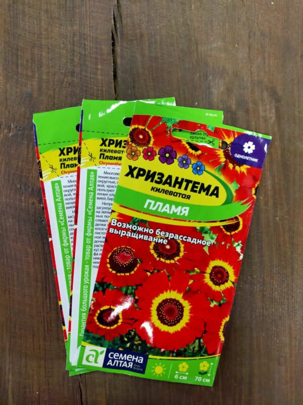 Хризантема Пламя Килеватая