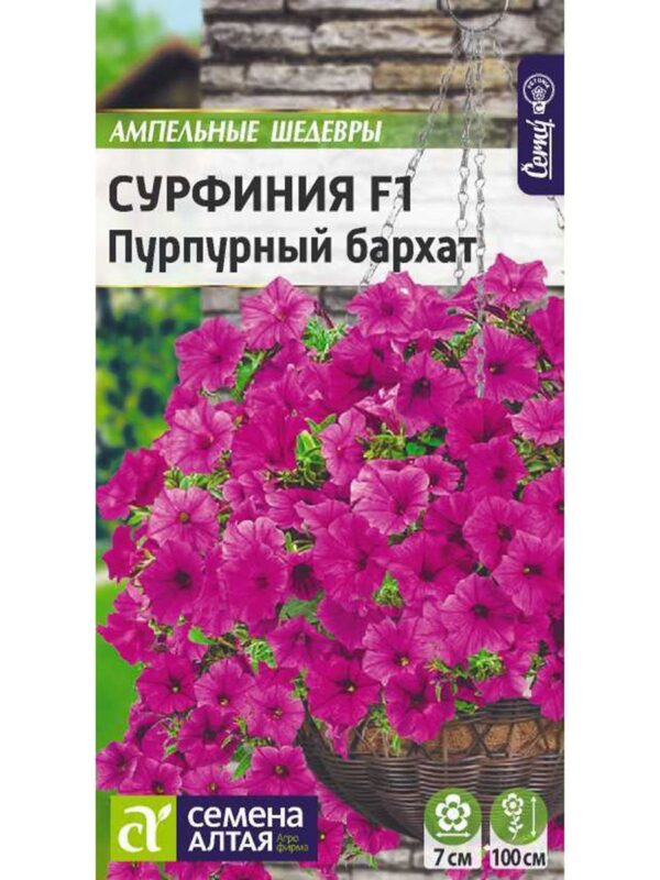 Сурфиния Пурпурный Бархат