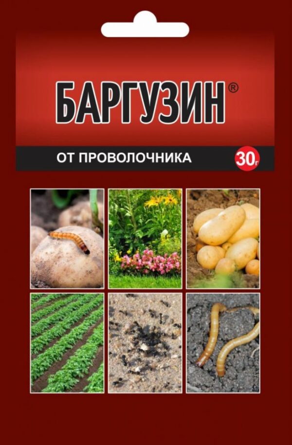 Баргузин 30г