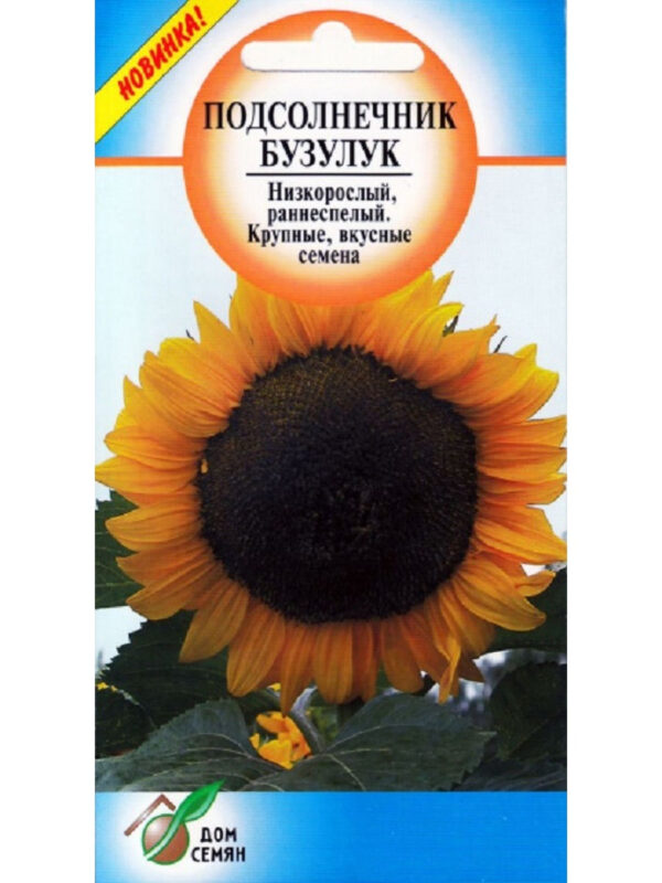 Подсолнечник Бузулук