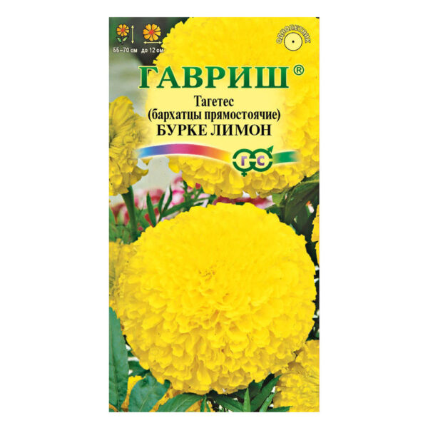 Бархатцы Бурке Лимон