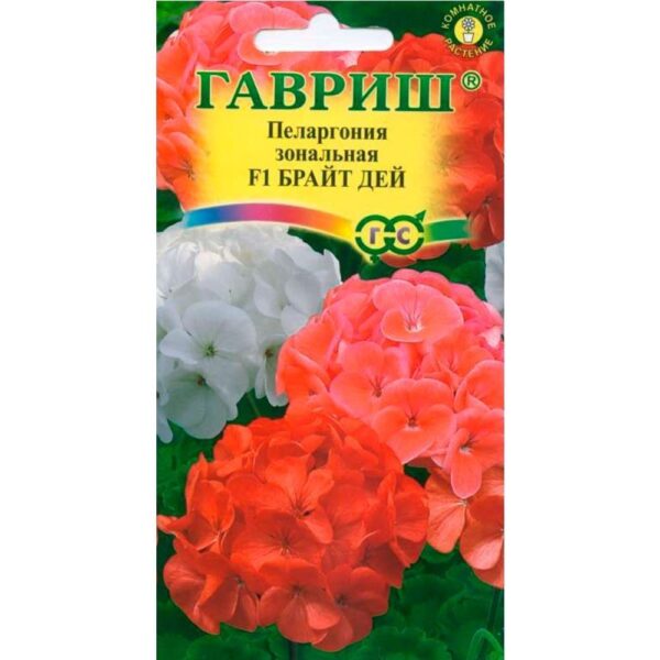 Пеларгония Брайт Дей