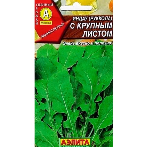 Индау (Руккола) с Крупным листом