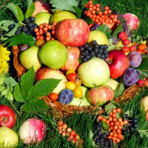 Плодовые и ягодные саженцы 2024