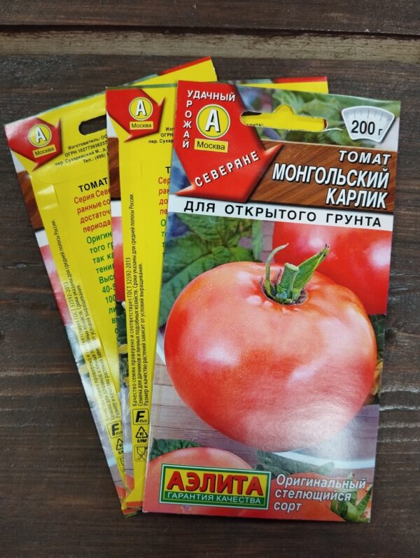 Томат Монгольский карлик