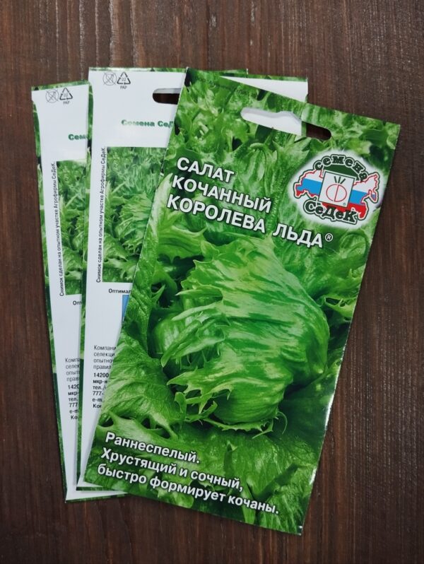 Салат кочанный Королева льда