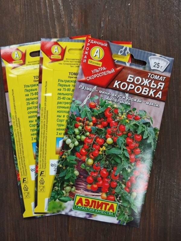 Томат Божья Коровка