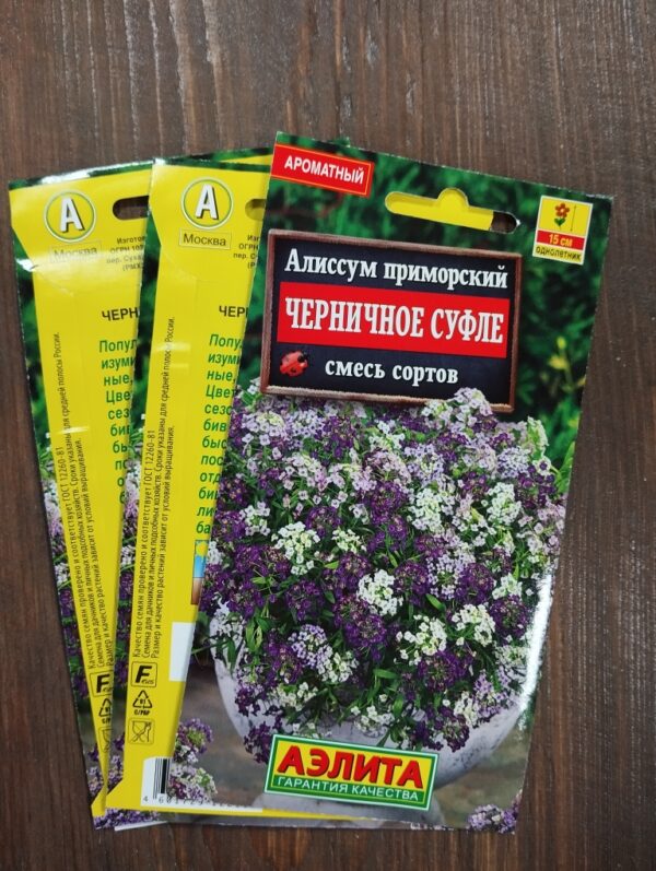 Алиссум Черничное суфле