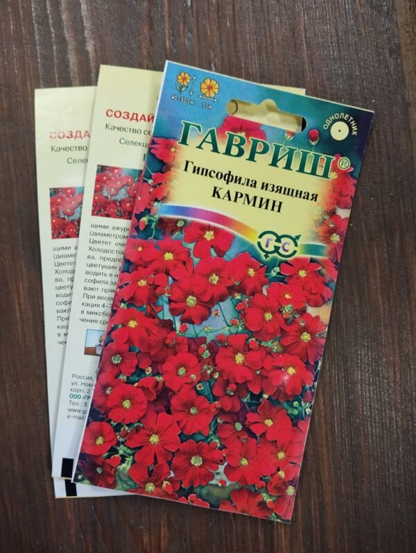 Гипсофила изящная Кармин