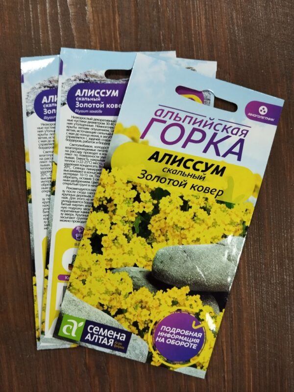 Алиссум Золотой ковер