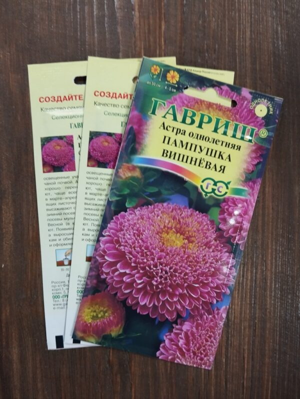 Астра Пампушка Вишневая