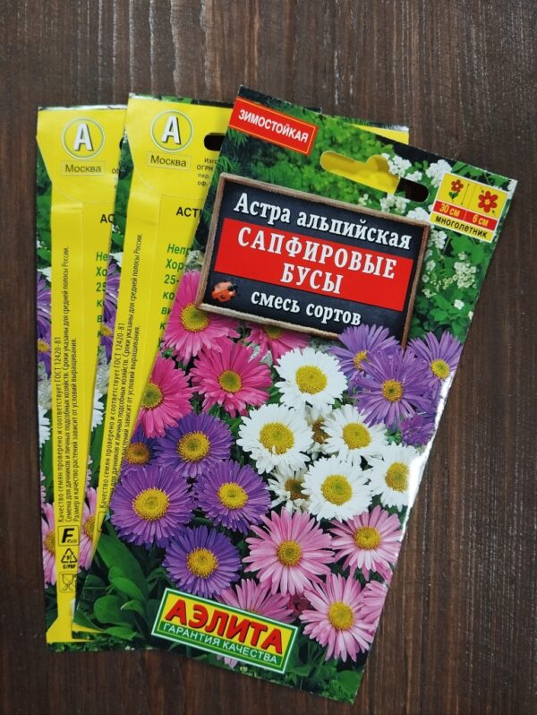 Астра Альпийская Сапфировые бусы