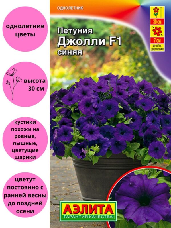 Петуния Джолли синяя F1 многоцветковая