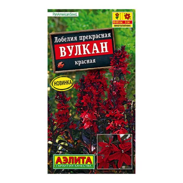 Лобелия прекрасная Вулкан красная