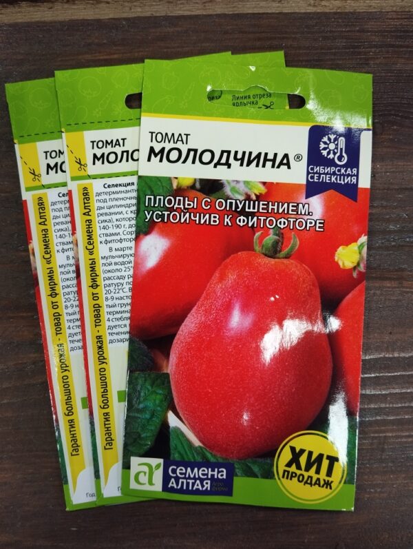Томат Молодчина